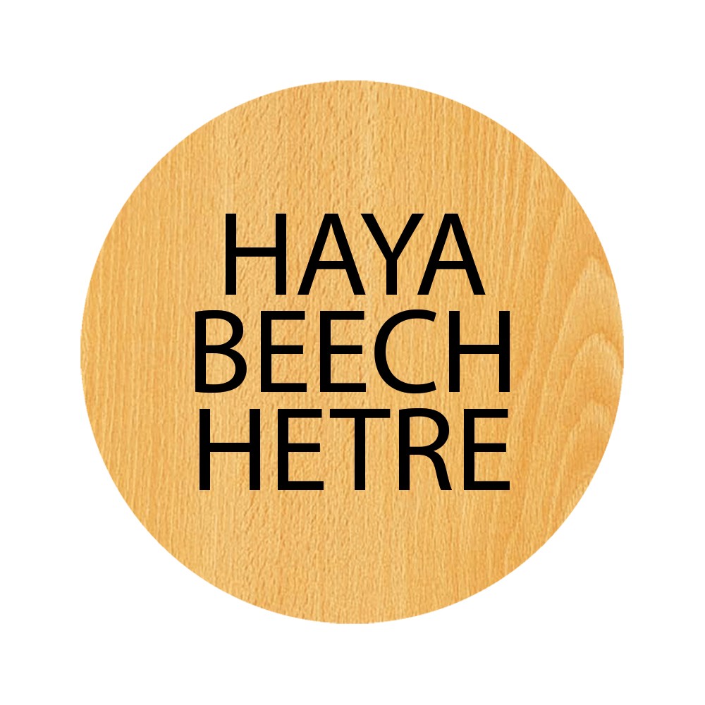[CP TP-TP] HAYA/BEECH/HETRE
